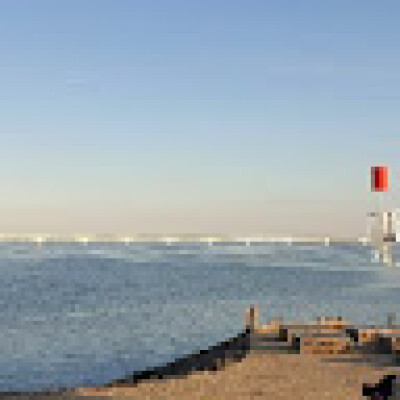 Joyce  is looking for an Apartment / Studio in Tilburg